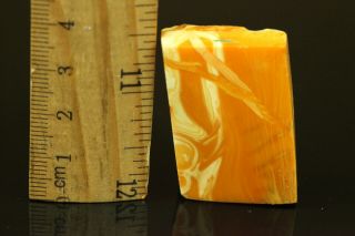 10.  9 gr.  NATURAL OLD Antique Butterscotch Egg Yolk Baltic Amber Stone B734 2