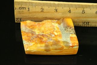 10.  9 gr.  NATURAL OLD Antique Butterscotch Egg Yolk Baltic Amber Stone B734 4