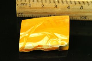 10.  9 gr.  NATURAL OLD Antique Butterscotch Egg Yolk Baltic Amber Stone B734 5