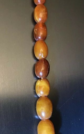 Antique Natural Honey Egg Yolk Baltic Amber Graduated Beaded Necklace 17.  5” 8