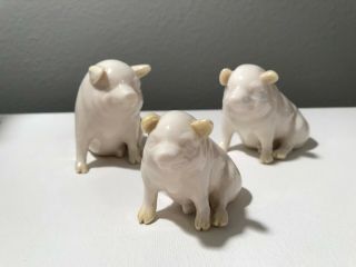 Set Of 3 Antique Belleek Ireland Pigs Porcelain Figurines