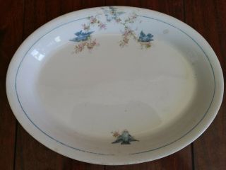 Rare Antique Crown Porcelain Potteries Co.  Bluebird Oval Platter Blue Bird C.  P.