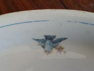 RARE Antique CROWN PORCELAIN POTTERIES CO.  BLUEBIRD OVAL PLATTER BLUE BIRD C.  P. 3