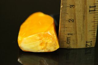 9.  5 gr.  NATURAL OLD Antique Butterscotch Egg Yolk Baltic Amber Stone B735 4