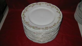 Antique Mz Austria Habsburg China Vtg Porcelain 9.  75 " Dinner Plate (16 Avail)