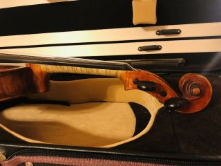 Old Stamped Violin Professional Authentic Violin By Carl Zach 6