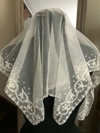 Gorgeous Antique Needle Lace Veil - Application On Tulle 50 " By 17 " - Plumetis