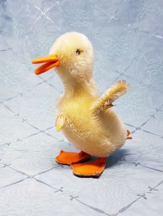 Vintage Steiff Duck Young Duckling 6.  7 