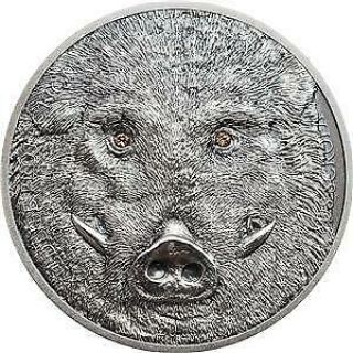 Mongolia 2018 500 Togrog Wild Boar Sus Scrofa 1 Oz Silver Antique Coin