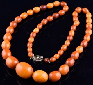 Largeantique Chinese Natural Butterscotch Egg Yolk Amber Graduated Bead Necklace