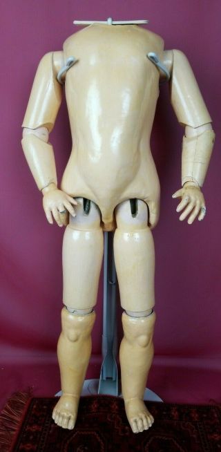 Antique German Huge Fully Jointed Sonneberg Doll Body For Bisque Socket Head