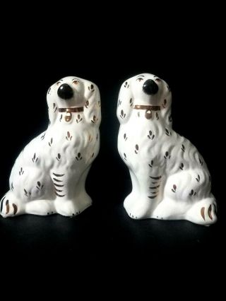 Antique Staffordship Ware England Kent Porcelain Pair Dogs Very Good