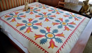 Antique Hand Stitched Folky Tulip Applique Quilt Dated 1826