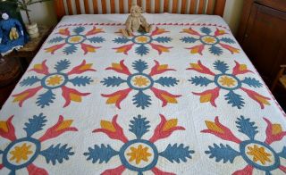 Antique Hand Stitched Folky Tulip Applique Quilt Dated 1826 2