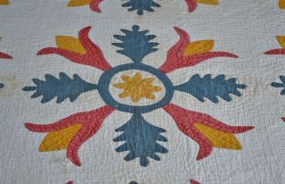 Antique Hand Stitched Folky Tulip Applique Quilt Dated 1826 3