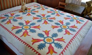 Antique Hand Stitched Folky Tulip Applique Quilt Dated 1826 4