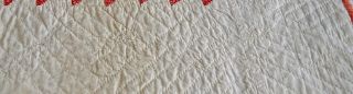 Antique Hand Stitched Folky Tulip Applique Quilt Dated 1826 5
