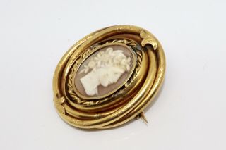 A Heavy Antique Victorian Rolled Gold Plated Shell Cameo Brooch 13488