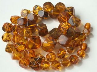 Natural Vintage Amber Beads Antique Baltic Old Necklace 39.  89 Gr