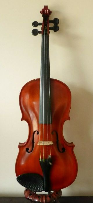 Rare Antique Guarneri Labelled Violin Lob 14 3/16 " In Old Leather Case & 2 Bows