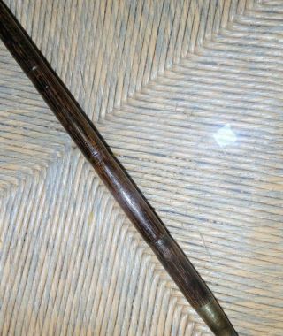 Antique Sterling Silver Top,  Partridge Wood Walking Stick/Cane. 5