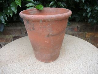 Rare Old Sankey Bulwell Vintage Terracotta Plant Pot 10 " High (a)