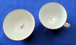 Antique 2 pc Meissen Open Sugar Bowl & Demitasse Tea Cup Floral Flower Design 5
