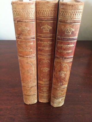 Antique Leather Bound Books Set Of 3 -