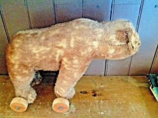 Rare Antique Pull Push Toy Bear Steiff Bear On Wheels