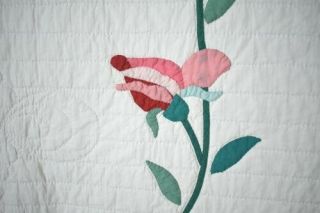 Vintage 30 ' s Rose & Blue Flowers Applique Antique Quilt Quilting 5