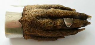 1922 Sterling Silver Mount - Otter Paw & Ring - Taxidermy Hunting Trophy Brooch