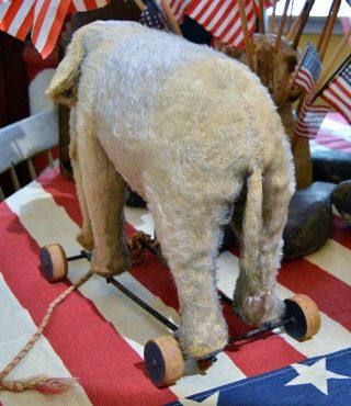 Large Antique Steiff Elephant Pull Toy with FF Button and Red Tag 5