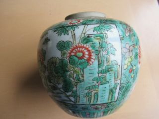 Antique Cinese Ginger Jar Hand Painted Famille Vert Paeony Butterfly 13 Cms.