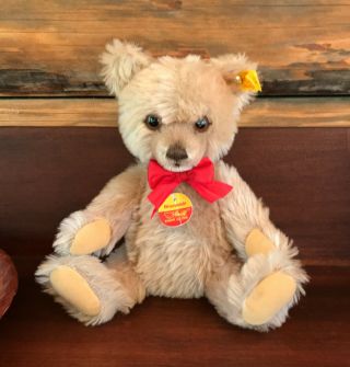 1991 - 1993 Steiff Brummbar Growler Teddy Bear Number 011535 11 " Tall Jointed