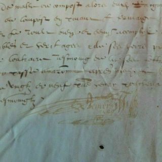 1489 Medieval Manuscript Document And Signature On Parchment Skin Rare