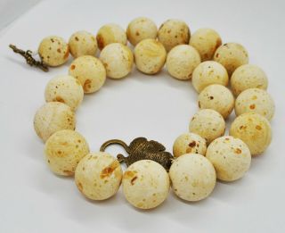76,  6g Antique Formed White Boney Baltic Amber Butterscotch Pressed Bead Necklace