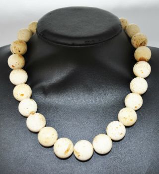 76,  6g Antique Formed White Boney Baltic Amber Butterscotch Pressed Bead Necklace 2