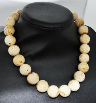 76,  6g Antique Formed White Boney Baltic Amber Butterscotch Pressed Bead Necklace 3