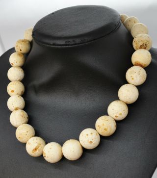 76,  6g Antique Formed White Boney Baltic Amber Butterscotch Pressed Bead Necklace 4