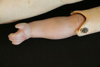 Antique German Kid Leather Doll Body Bisque Hands Paper Label,  Antique Doll Body 6