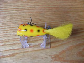 Beautifu Vintage Creek Chub Injured Dinger Painted By Dale Roberts Yelow Spotted