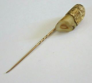 Unusual Antique 9ct Gold Mounted Horse Tooth Stick Pin Brooch