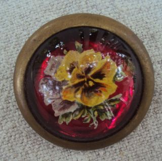 Antique Horse Bridle Rosette Brass Domed Glass Button Brooch Pansy Floral Flower