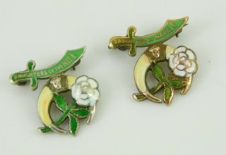 Vintage / Antique Daughters Of The Nile Sterling & Gold Fill Enamel Pins
