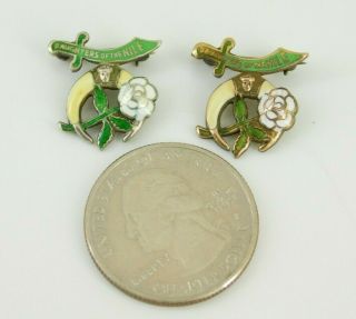 Vintage / Antique Daughters Of The Nile Sterling & Gold Fill Enamel Pins 2