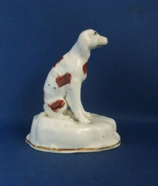 Antique 19thc Samuel Alcock Staffordshire Pottery Figure A Setter Dog C1840 -