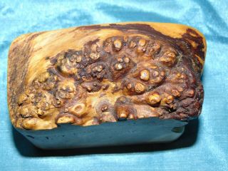 Stunning Signed Fred & Marilyn Buss Maple Burl & Madrone Sculpture Puzzle Box 2