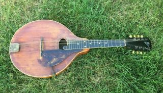 Antique 1908 1911 Gibson Style H - 1 Mandola Mandolin As Found For Restoration