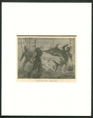 1887 Antique Print Of Deep Sea Diver Diving Divers Attacked By Swordfish