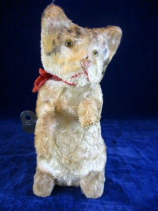 Antique 6 In.  Automaton Mohair Tiger Cat 3 Movements Key German?
